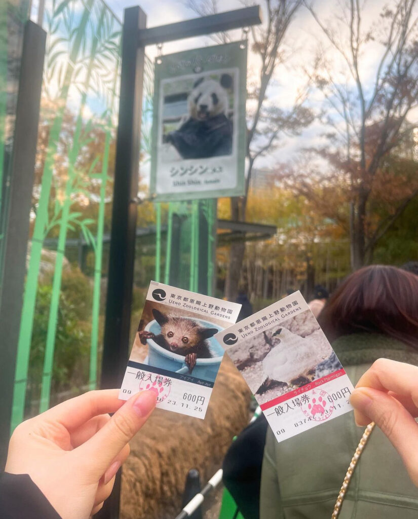 上野動物園　チケット